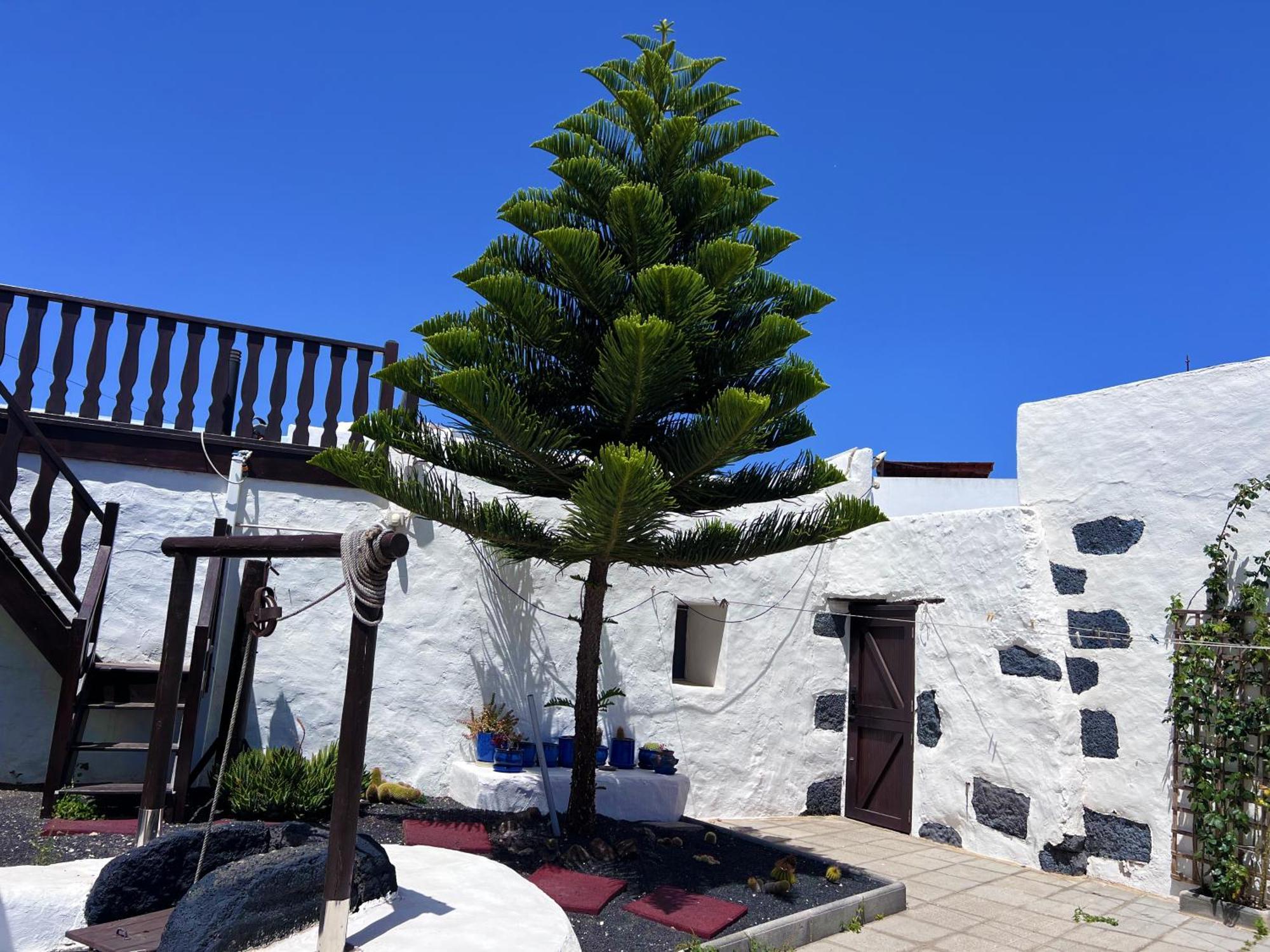 Casa Rural Estilo Canario Villa San Bartolomé Eksteriør bilde